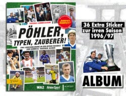 Panini Pöhler, Typen, Zauberer - Sticker - Album