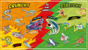 Super Animals: Sharks - 14er Display Motiv 2