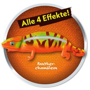 Chamäleons – Planet WOW – 20er Display Motiv 5