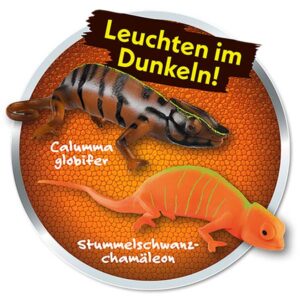 Chamäleons – Planet WOW – 20er Display Motiv 4