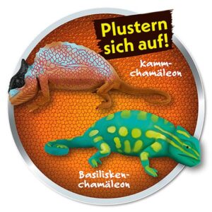 Chamäleons – Planet WOW – 20er Display Motiv 3