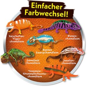 Chamäleons – Planet WOW – 20er Display Motiv 2