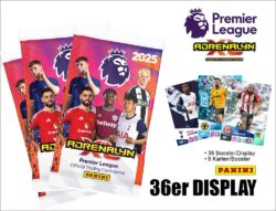 Premier League Trading Cards 2024 Display