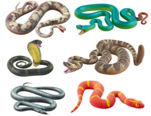 Planet WOW Snakes Motiv 2