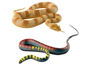 Planet WOW Snakes Motiv 4