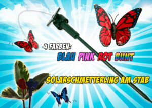Solar-Schmetterling Collage