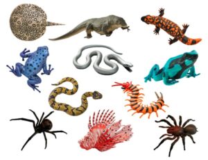 Wow serie toxic creatures motive 2